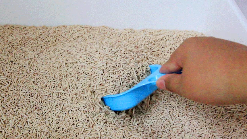 [NEW신상][무료배송] 펫토리아 한삽뚝딱 고양이 천연 두부 모래 가는입자 7L 3종 (오리지널/편백나무/라벤더) 4번째