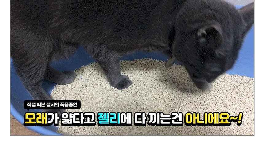 [NEW신상][무료배송] 펫토리아 한삽뚝딱 고양이 천연 두부 모래 가는입자 7L 3종 (오리지널/편백나무/라벤더) 17번째