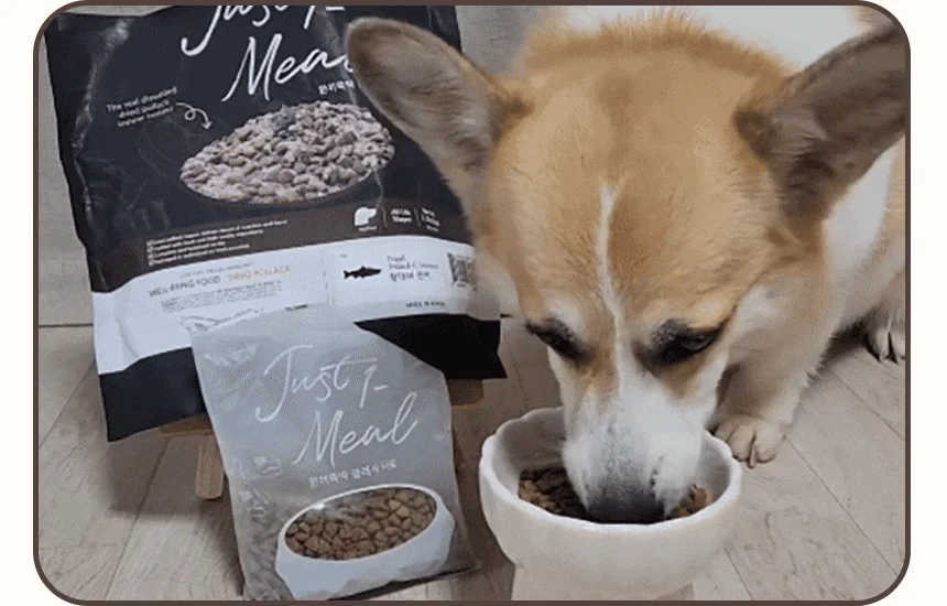 [무료배송] 펫토리아 한끼뚝딱 독 클래식 소고기 1kg 5번째