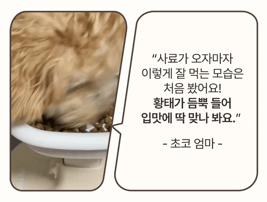 [무료배송] 펫토리아 한끼뚝딱 독 클래식 소고기 1kg 6번째