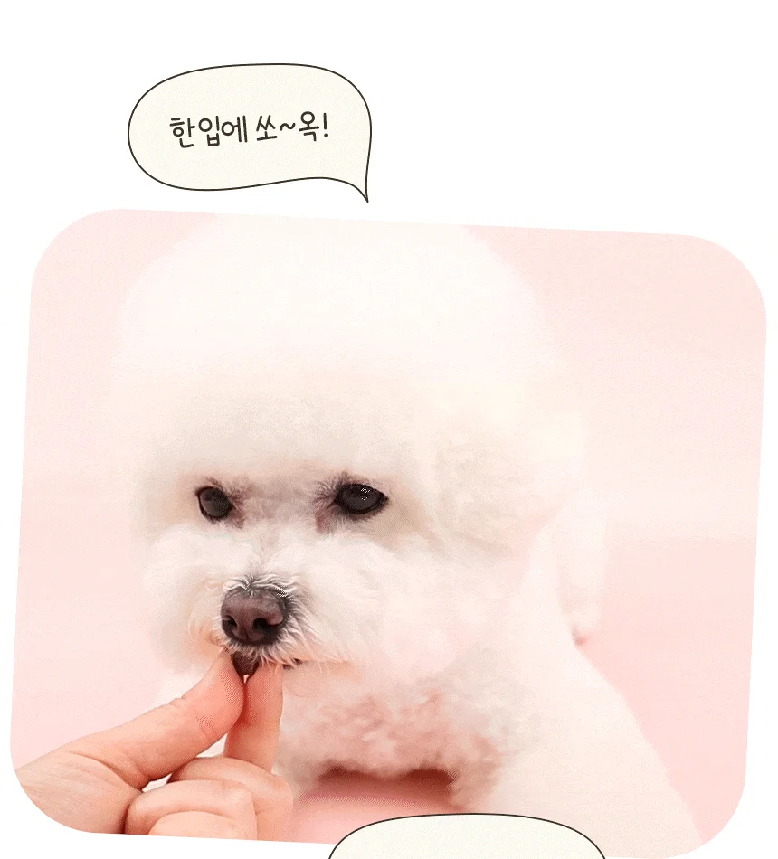 [NEW신상][무료배송] 펫토리아 강아지 한입뚝딱 쫄깃 져키 큐브 간식 150g 4종 (닭고기&고구마/말고기/소고기/양고기) 17번째