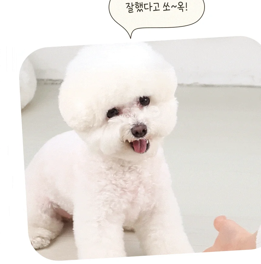 [NEW신상][무료배송] 펫토리아 강아지 한입뚝딱 쫄깃 져키 큐브 간식 150g 4종 (닭고기&고구마/말고기/소고기/양고기) 18번째