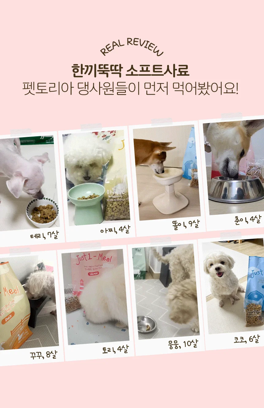 [NEW신상][무료배송] 한끼뚝딱 강아지 말랑말랑 황태담은 소프트 사료 전연령 2.4kg 4종 3번째