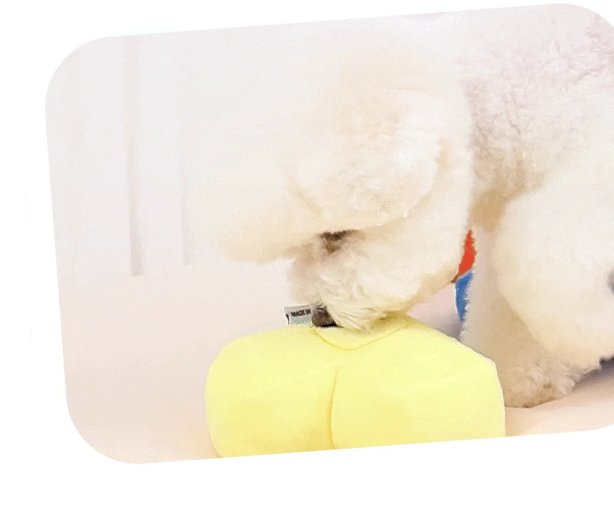 [NEW신상][무료배송] 펫토리아 강아지 한입뚝딱 쫄깃 져키 큐브 간식 150g 4종 (닭고기&고구마/말고기/소고기/양고기) 20번째