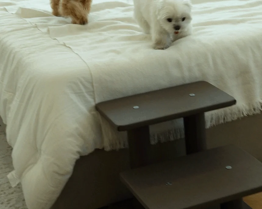 [NEW신상][무료배송] 펫토리아 한탭뚝딱 강아지 방수원단 계단 3단 논슬립 3종 (블루그레이/다크브라운/다크그레이) 5번째