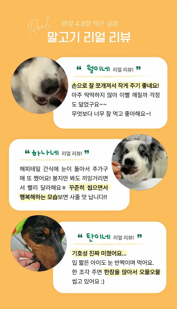 [NEW신상]해피테일 강아지 육포 말고기 40g 10번째