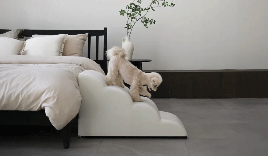 [NEW신상][무료배송] 초코펫하우스 논슬립 스텝 4.0 2단/3단/4단 14번째