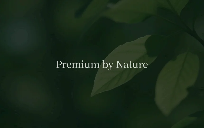 [NEW신상][무료배송] 네이처스 말티즈 샴푸 500ml 5번째