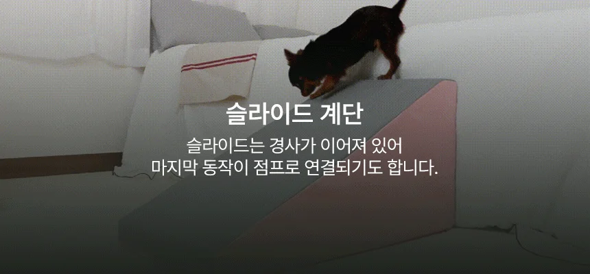 [NEW신상][무료배송] 초코펫하우스 논슬립 스텝 4.0 2단/3단/4단 20번째