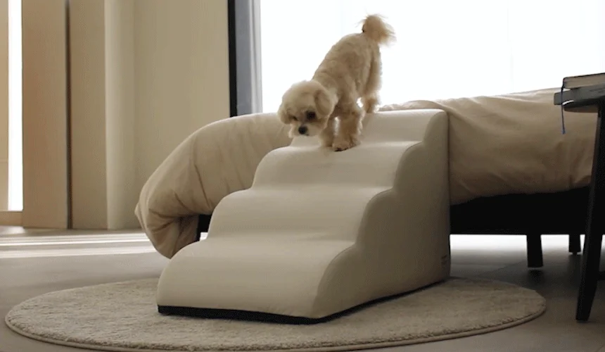 [NEW신상][무료배송] 초코펫하우스 논슬립 스텝 4.0 2단/3단/4단 26번째