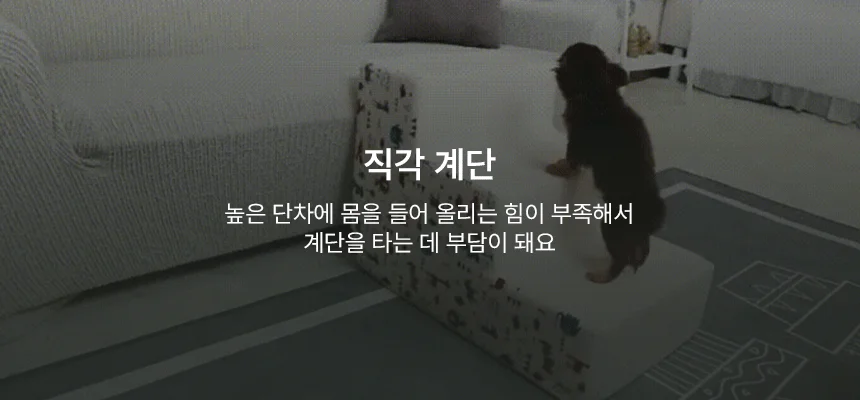 [NEW신상][무료배송] 초코펫하우스 논슬립 스텝 4.0 2단/3단/4단 18번째