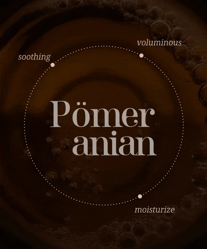 [NEW신상][무료배송] 네이처스 포메라니안 샴푸 500ml 7번째