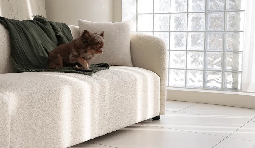 [NEW신상][무료배송] 초코펫하우스 논슬립 스텝 4.0 2단/3단/4단 12번째