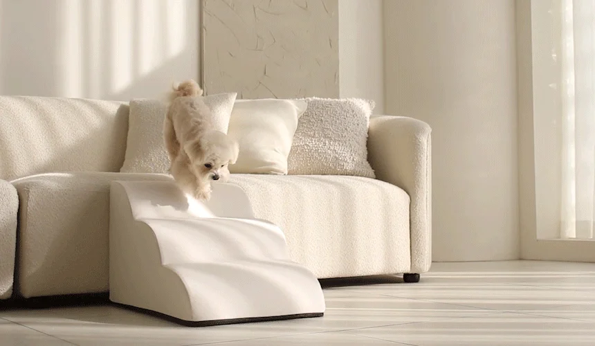 [NEW신상][무료배송] 초코펫하우스 논슬립 스텝 4.0 2단/3단/4단 24번째