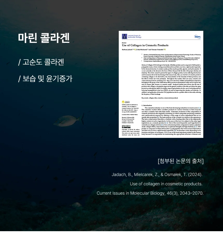 [NEW신상][무료배송] 네이처스 포메라니안 샴푸 500ml 14번째