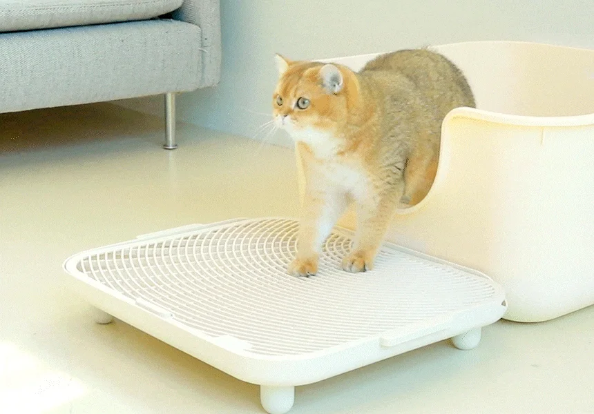 [NEW신상]소심한호랑이 캣 모래매트 심쿵발판 아이보리/화이트 4번째