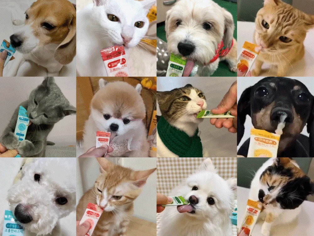 프롬한라 전복&오리순살 스틱 9g*10p 2번째