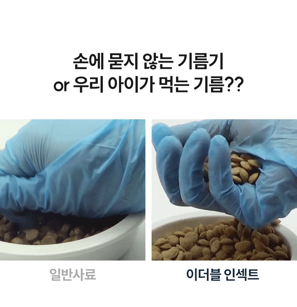 [NEW신상][무료배송] 벅스펫 벅스독 프리미엄 이더블 인섹트 5kg 11번째
