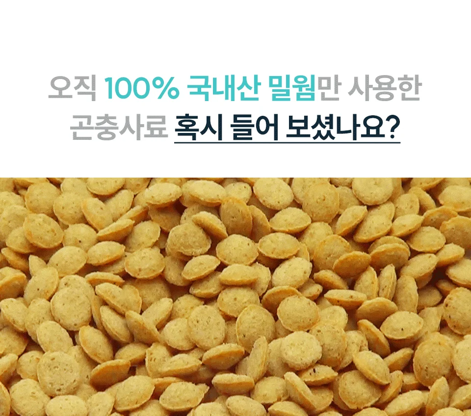 [NEW신상][무료배송] 벅스펫 벅스독 프리미엄 이더블 인섹트 5kg 5번째