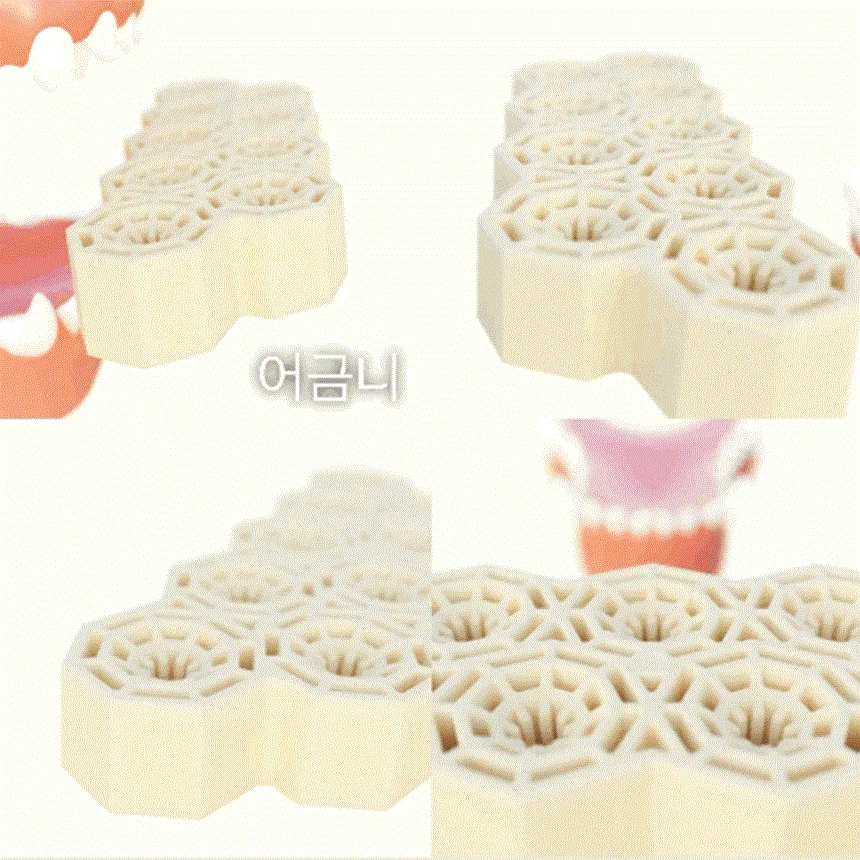 [NEW신상][무료배송] 네이처트레이스 독 스파이더웹 덴탈바 하이포알러제닉 12개입 10번째