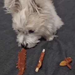 [무료배송] [유통기한임박, 26년04월27일] 펫토리아 뚝딱뚝딱 강아지 육포 간식 대용량 3종 콤보 1kg (치킨/오리) 31번째