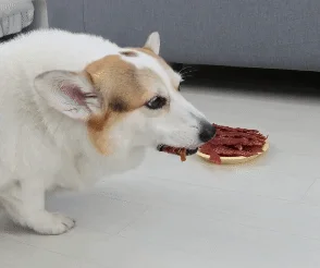 [무료배송] [유통기한임박, 26년04월27일] 펫토리아 뚝딱뚝딱 강아지 육포 간식 대용량 3종 콤보 1kg (치킨/오리) 25번째