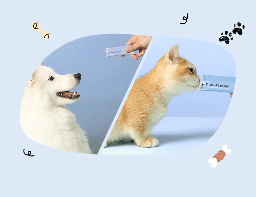 [체험단] CMG제약 캣 가르시니아 슬리밍 닭가슴살 퓨레 80g 2번째