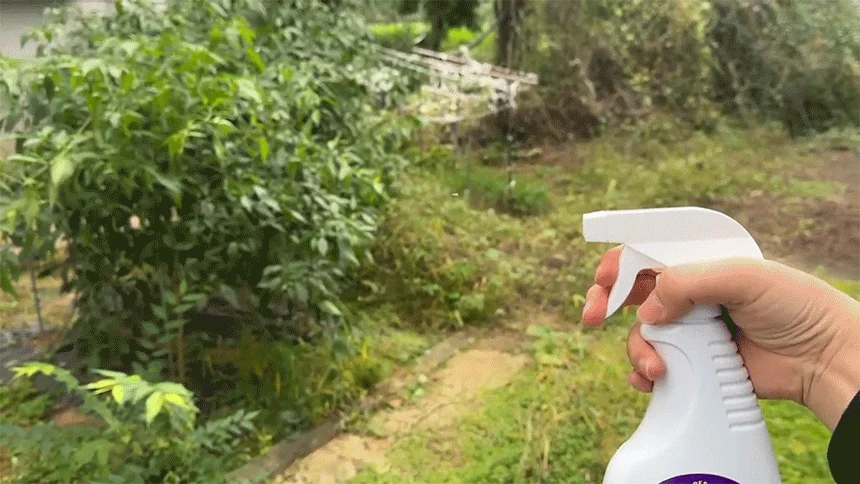 [신상특가] [2개] 후레쉬포우 상쾌한 베이킹소다 탈취제 라벤더향 550ml 4번째