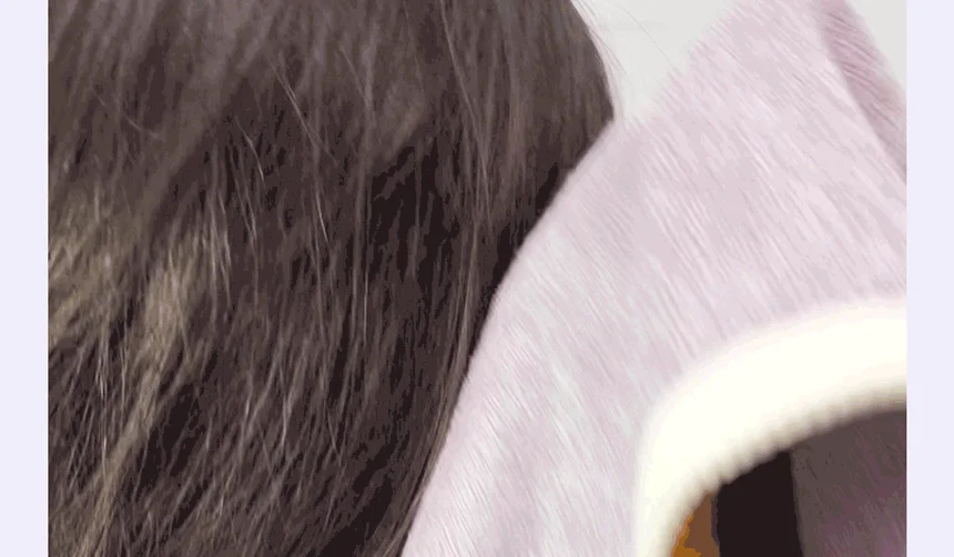 [무료배송] 포포몽 정전기 제로 펫타월 M 3번째