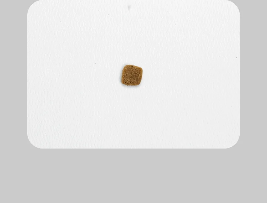 [신상특가] [무료배송] 데이스포 독 와이즈 퓨어 큰알갱이 15kg 6번째