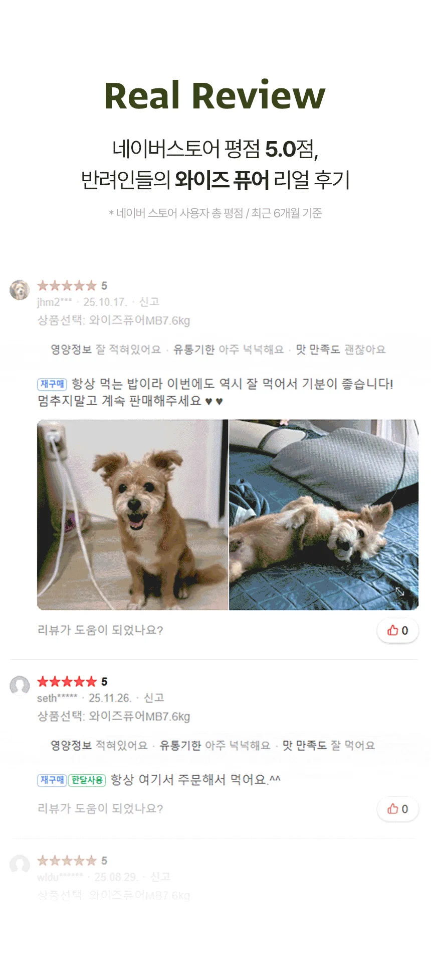 [신상특가] [무료배송] 데이스포 독 와이즈 퓨어 큰알갱이 15kg 3번째