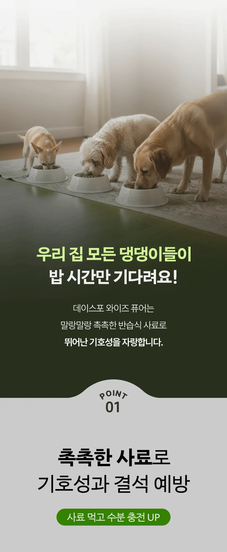 [신상특가] [무료배송] 데이스포 독 와이즈 퓨어 큰알갱이 15kg 5번째