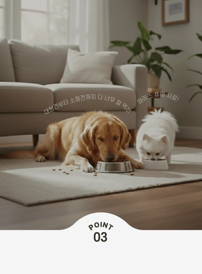 [무료배송] 데이스포 독 와이즈 퓨어 중간알갱이 7.6kg 14번째