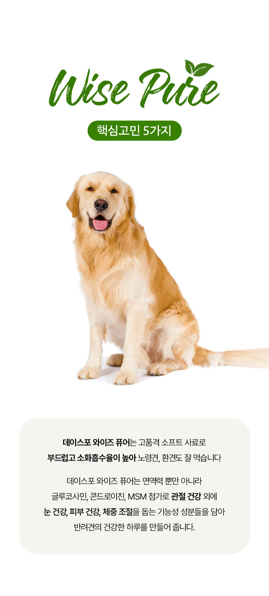 [무료배송] 데이스포 독 와이즈 퓨어 중간알갱이 7.6kg 7번째