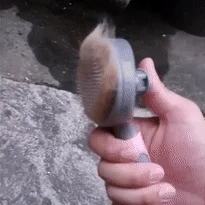 [NEW신상][무료배송] 행복한댕냥이 반려동물 원터치 브러쉬 슬리커빗 4번째