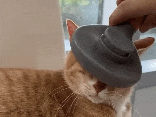 [NEW신상][무료배송] 행복한댕냥이 반려동물 원터치 브러쉬 슬리커빗 19번째