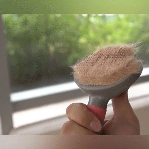 [NEW신상][무료배송] 행복한댕냥이 반려동물 원터치 브러쉬 슬리커빗 3번째