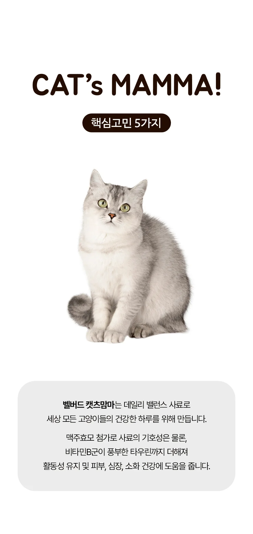 [무료배송] 벨버드 캣츠맘마 전연령 5kg 5번째