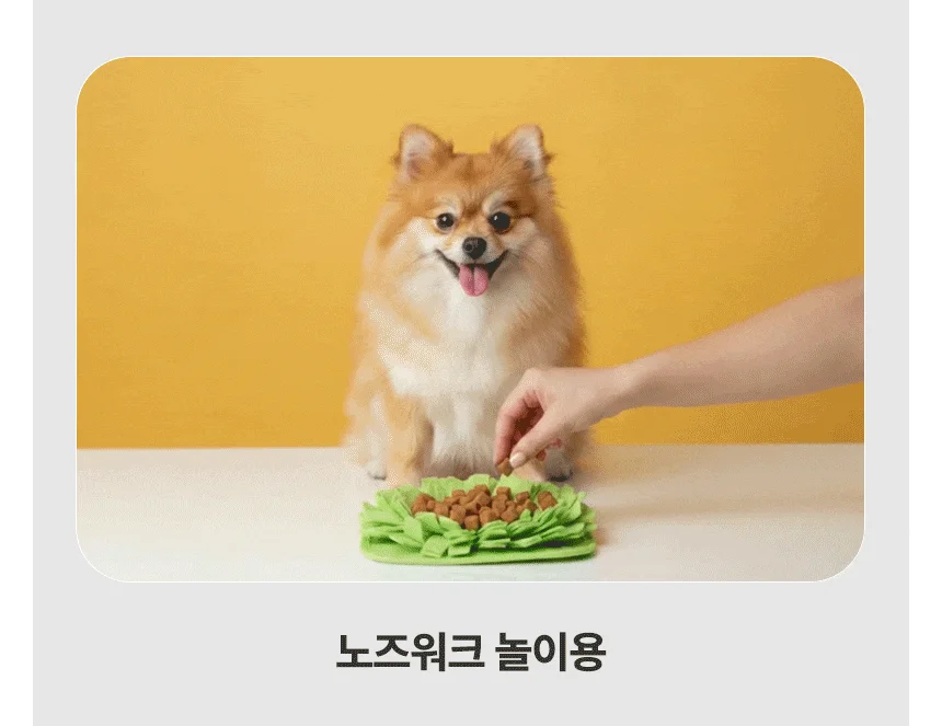 [무료배송] 데이스포 독 헬시트릿 LID 닭고기 400g 20번째