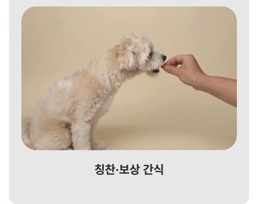 [무료배송] 데이스포 독 헬시트릿 LID 소고기 400g 21번째