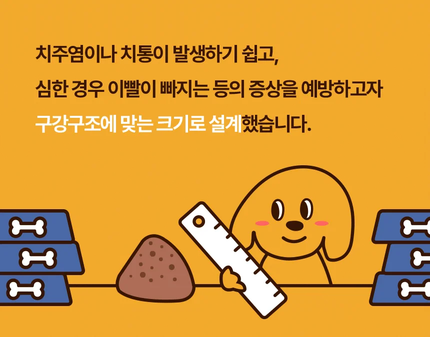 [NEW신상][무료배송] 데이스포 독 와이즈 올스테이지 5kg 14번째