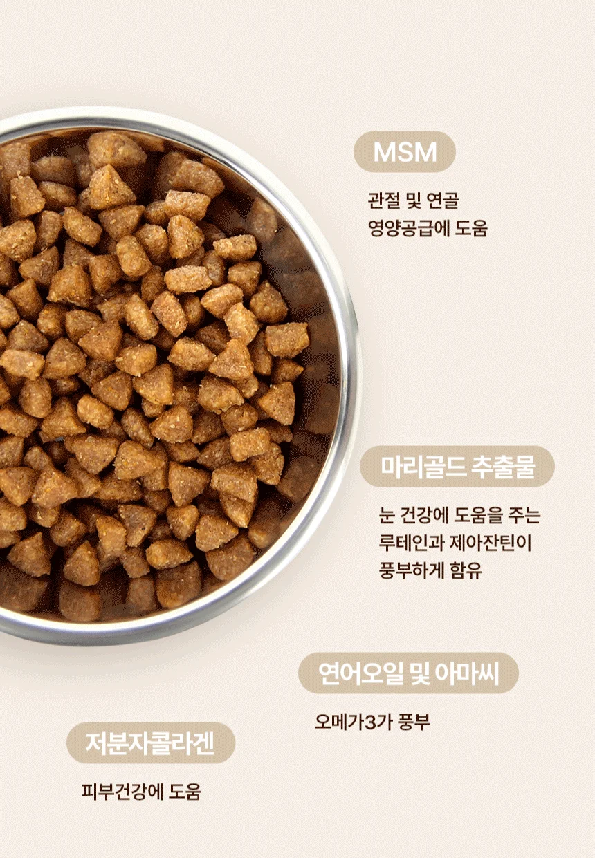 [NEW신상][무료배송] 데이스포 독 와이즈 올스테이지 5kg 9번째