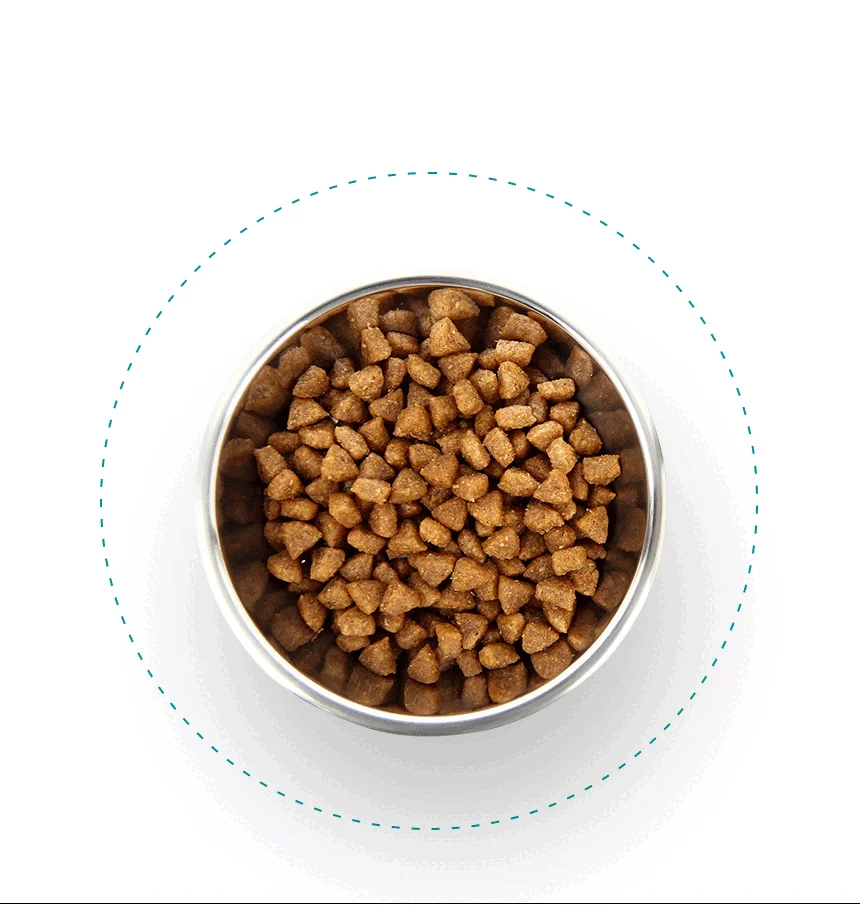 [NEW신상][무료배송] 데이스포 독 와이즈 스킨앤코트 5kg 13번째