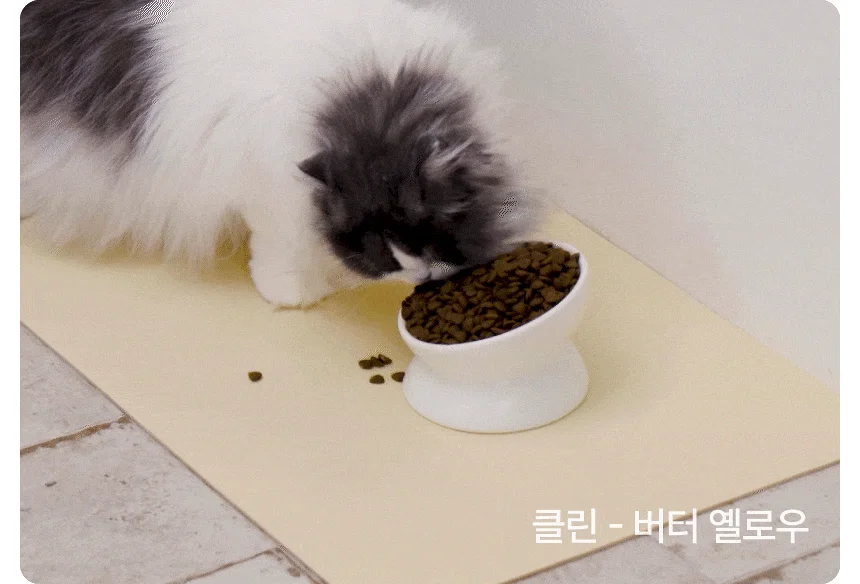 [NEW신상][무료배송] 체고케어 털안붙는 초속건 물흡수 미끄럼방지 발매트 26번째