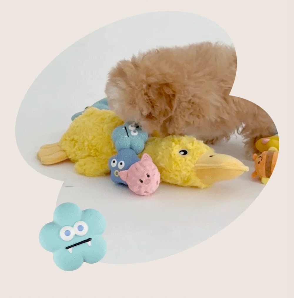 [NEW신상][무료배송] 가티가티 강아지 터그놀이 장난감 선물 세트 21번째