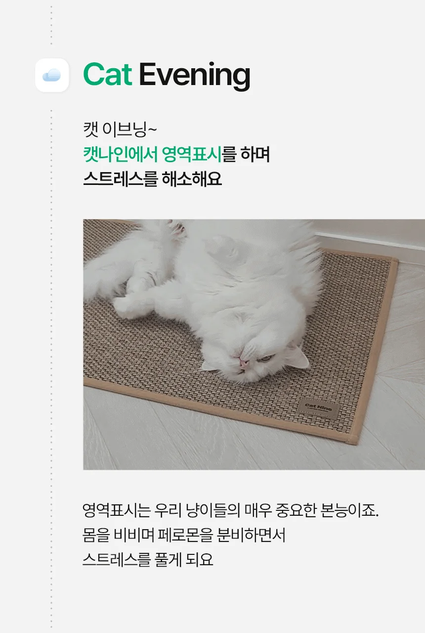 [NEW신상][무료배송] 캣나인 안식처 이너무바 76x46cm 19번째