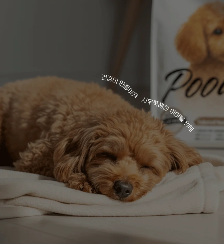 [NEW신상][무료배송] 한삼인 펫츠밀 푸들 사료 1.8kg 10번째