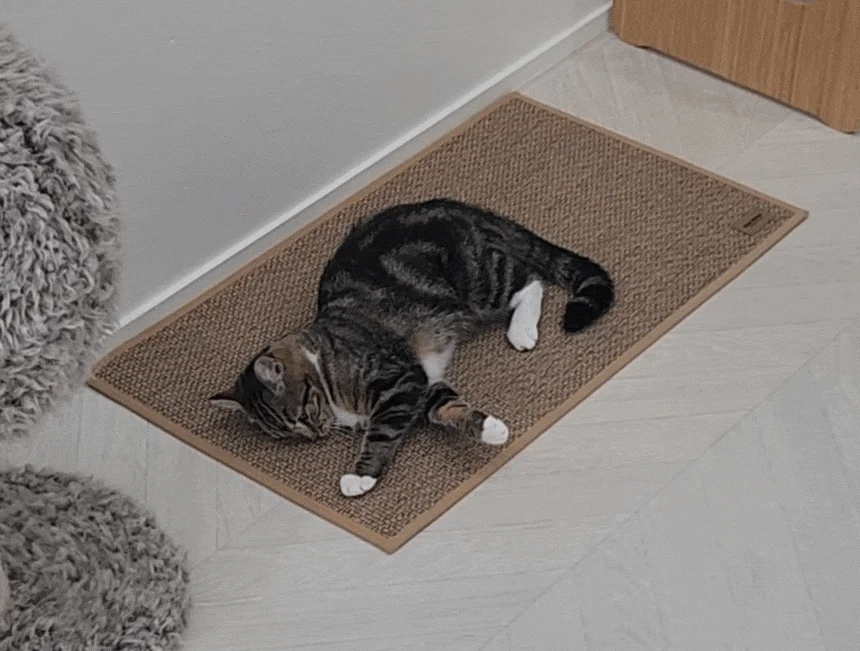 [NEW신상][무료배송] 캣나인 안식처 이너무바 76x46cm 6번째