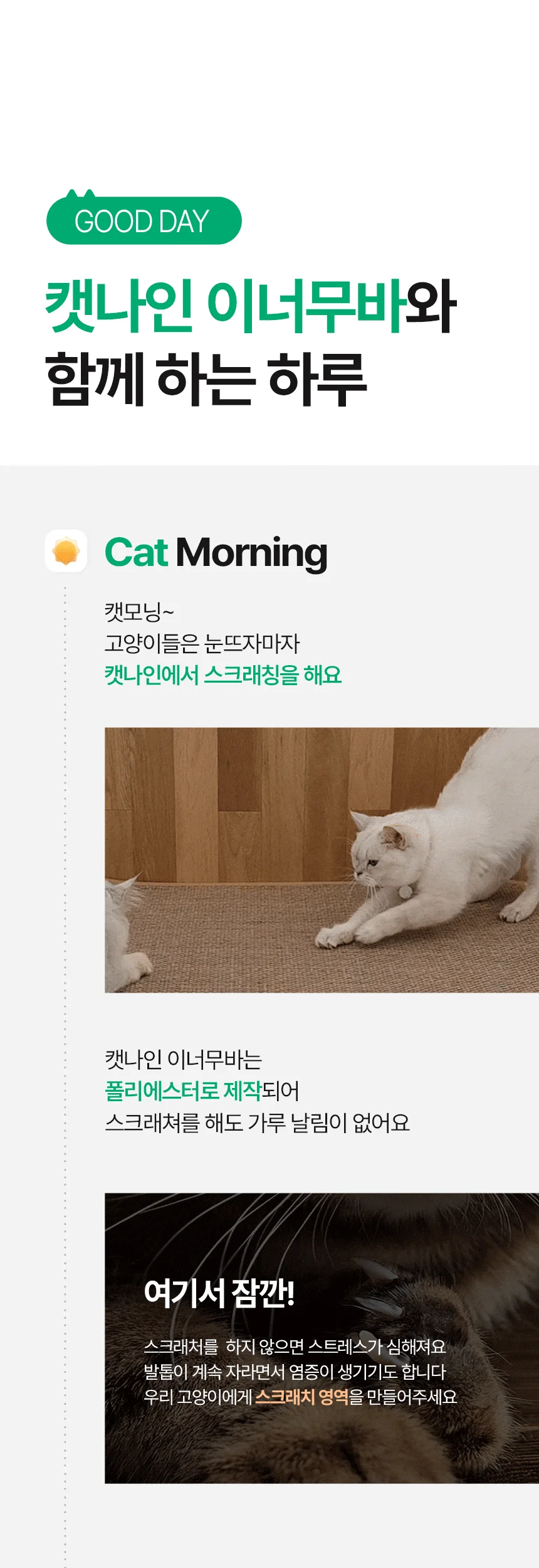 [NEW신상][무료배송] 캣나인 안식처 이너무바 76x46cm 17번째