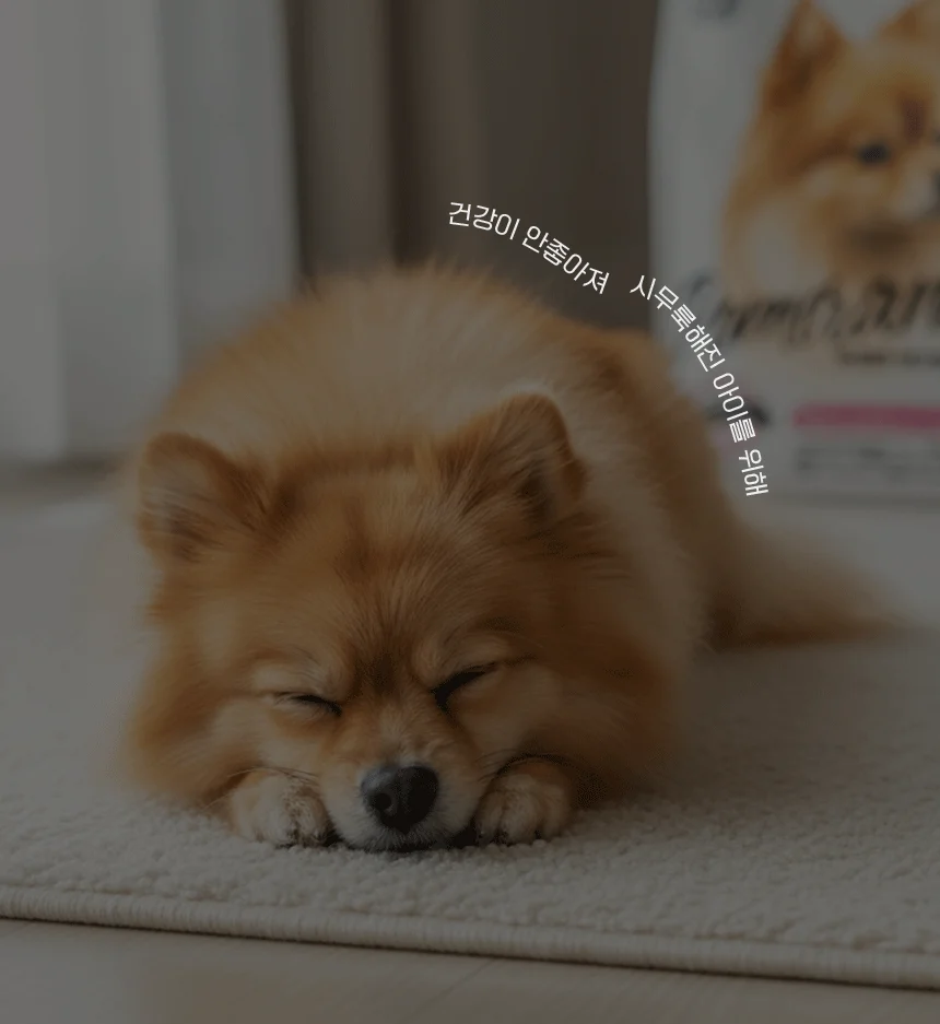 [NEW신상][무료배송] 한삼인 펫츠밀 포메라니안 사료 1.8kg 10번째